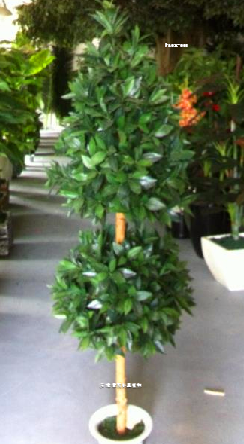 仿真月桂盆栽米蘭樹仿真楊梅葉樹假樹盆栽月桂樹裝飾植物盆景