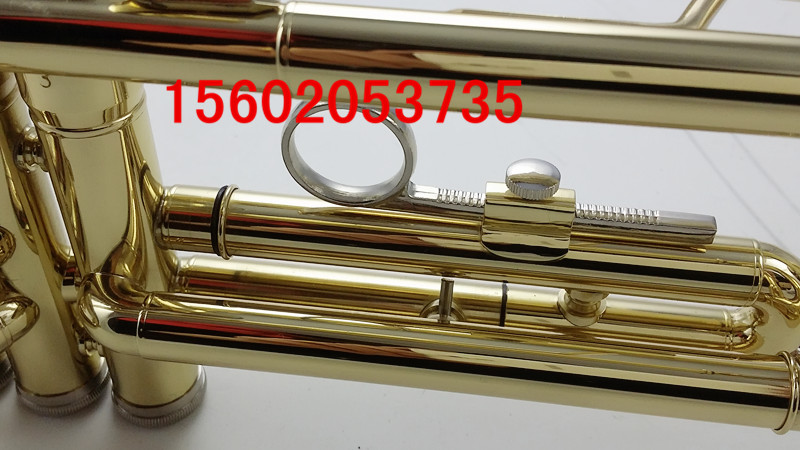 Bản gốc JWSD Jinvisi khiên JTR-500 drop B kèn nhạc cụ tối ưu cho người mới bắt đầu thi - Nhạc cụ phương Tây trống bo