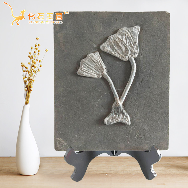 Special price Guizhou ancient bio-sea lily fossil specimen fish fossilized original stone pendulum gift giving collection and mounting gift-Taobao