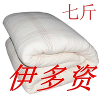 Chăn bông 7 kg chăn bông đơn bông quilt lõi dày ấm nhà quilt chăn đệm xinh