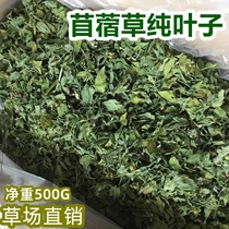 24年新紫花苜蓿草干草纯叶子全草叶苜蓿叶子兔子龙猫豚鼠陆龟饲料