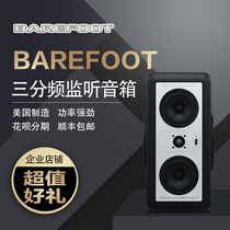  Barefoot Footprint01 MM12 MicroMain26 MicroMain27 MM45 Monitor only