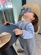 didibear baby cotton exquisite embroidery bear cute sweater