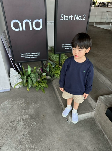 Didibear23aw/ милый и изысканный блюдо -свитер.