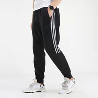 GP1014/2021 Новая модель