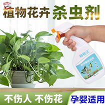 Red Spider special medicine rose insecticide rhododendron flower egg killing mites hydrangea plant insecticide Universal