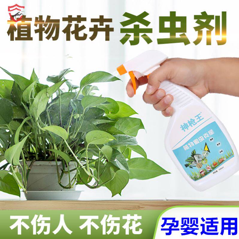Gecko Shell Bug Special Medicine Multimeat Pharmacy Insecticide Mesococcian Flowers Plant Universal Flower Medicine Small White Worm Gecko