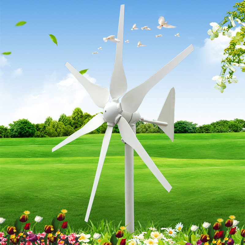 11-year-old shop 300W small wind turbine six-blade wind energy 12V24V household motor factory direct sales