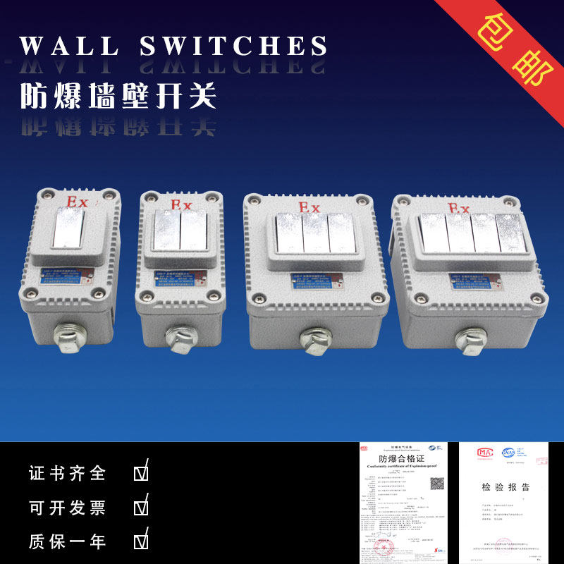  Explosion-proof switch 220V10A Ming loaded concealed wall switch 86 Type of explosion-proof wall switch Lighting switch-Taobao
