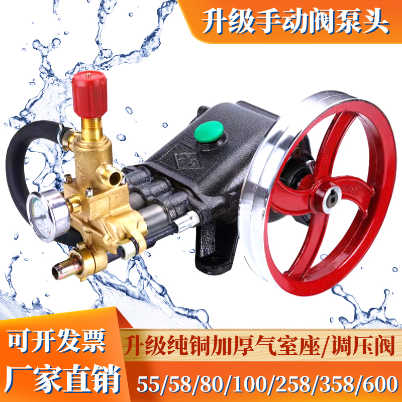 Original Chengdu Lifeng brand LF-55 58 80 90 100 high-pressure cleaner special pump all-copper pig farm