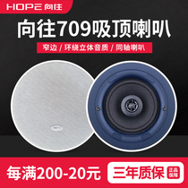 Yearning 709 ceiling ceiling ceiling sound matching speaker HIFI background music speaker