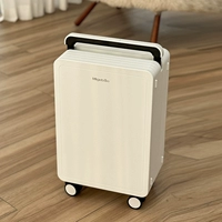 Падающий белый снег (дороже, аксессуары лучше)