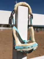 Мятный зеленый лошадь закрывает голову большой