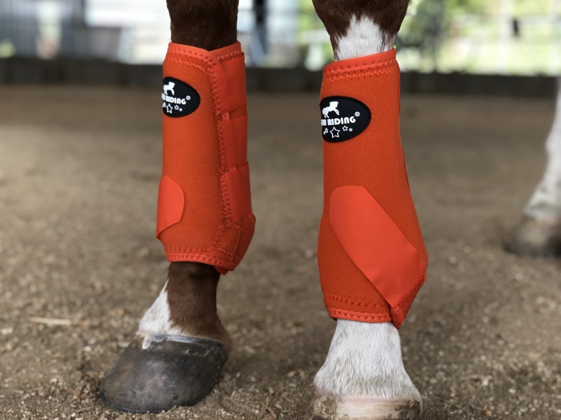 Horse Leg Protectors, Horse Leg Wraps, Horse Foot Wraps for Flat Ground Training, Endurance Riding, Durable Racing Horse Leg Wraps, Imported Materials, Sold in Pairs