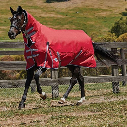 Minus zero horse coat thickened waterproof breathable 300 grams cotton exported to Europe in winter