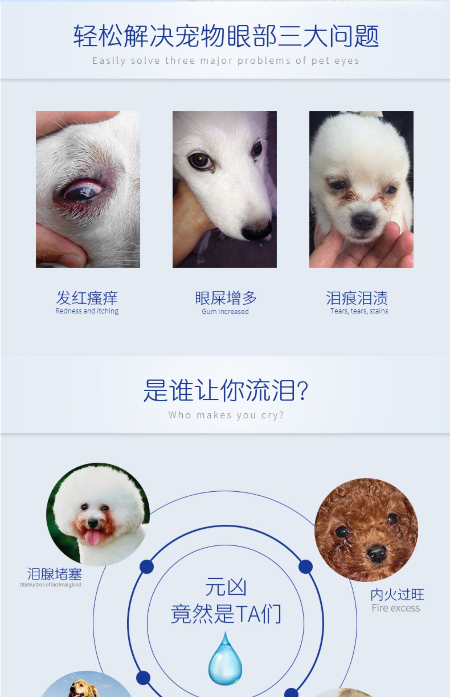 Đài Loan Xinghui thấy lớn cung cấp thuốc nhỏ mắt xi-rô mèo mũi thú cưng mắt nước mắt chó sạch làm sạch vật nuôi nhỏ chống viêm - Thuốc nhỏ mắt thuốc nhỏ mắt chó mèo bio