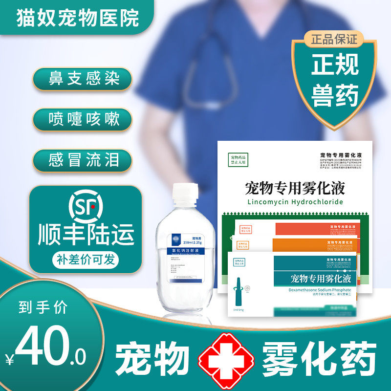 Cat Nose Branch Treatment Cat Dog Atomization Medicine Cold Runny Nose Sneeze Herpes Zoster Cup Virus General Atomization Package