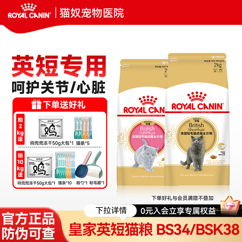 Royal British Shorthair Cat Food Bs34 Blue Cat American Shorthair British Shorthair Kitten Special Food Bsk38 Complete Nutrition Cat Food