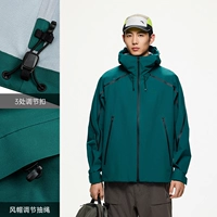 Лесной зеленый-4