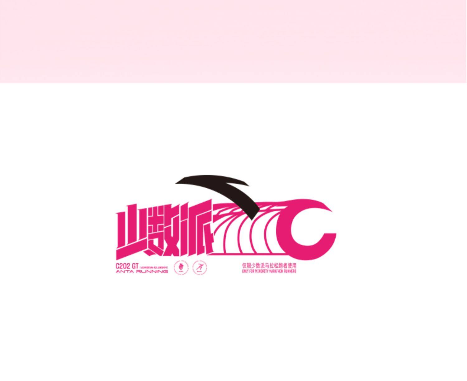 ANTA C202 5 GT Carbon Plate Professional Marathon Women's Running Shoes