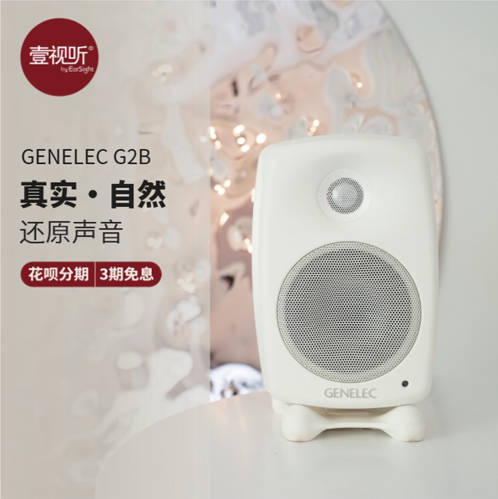 Genelec G2 g Two G2B Professional-Grade Home Speakers Hifi Active Audio Yishi Audio