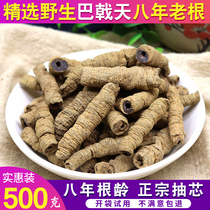 Morinda Morinda Wild Premium 500g Guangdong male brewing wine powder Male tonic with Lockyang Cistanche