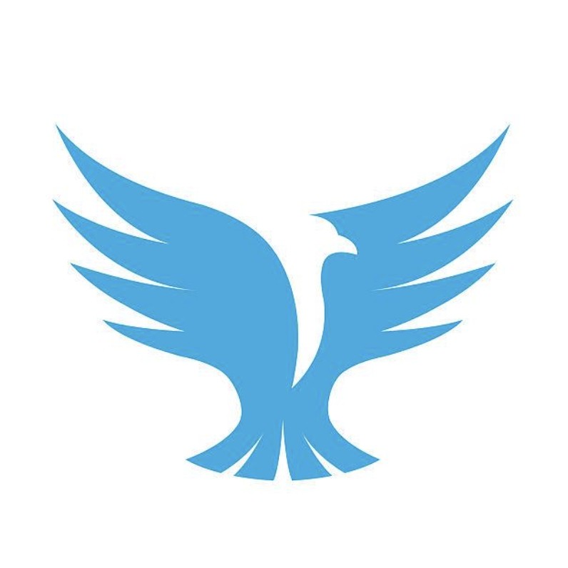 飞翔科技13年金牌老店的LOGO