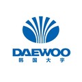 大宇壁挂洗衣机