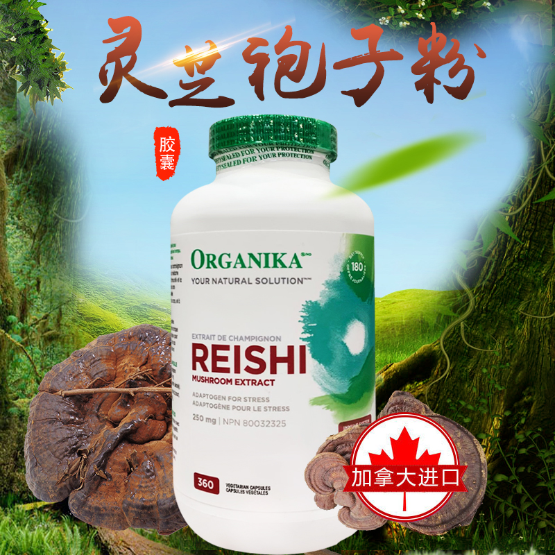2024 in stock Canada organika Ganoderma Lucidum Spore Powder Ganoderma Lucidum Essence Capsules 360 capsules 250mg