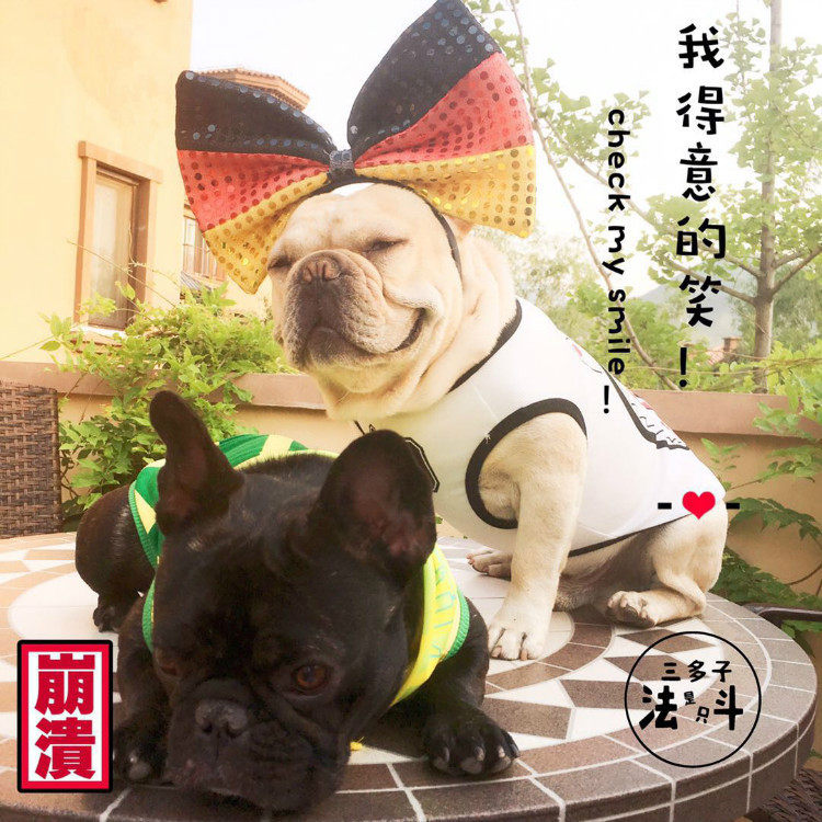 Flower girl dog funny cute hair accessories headband headgear method fighting bully Ying Dou fat photo props hot sale