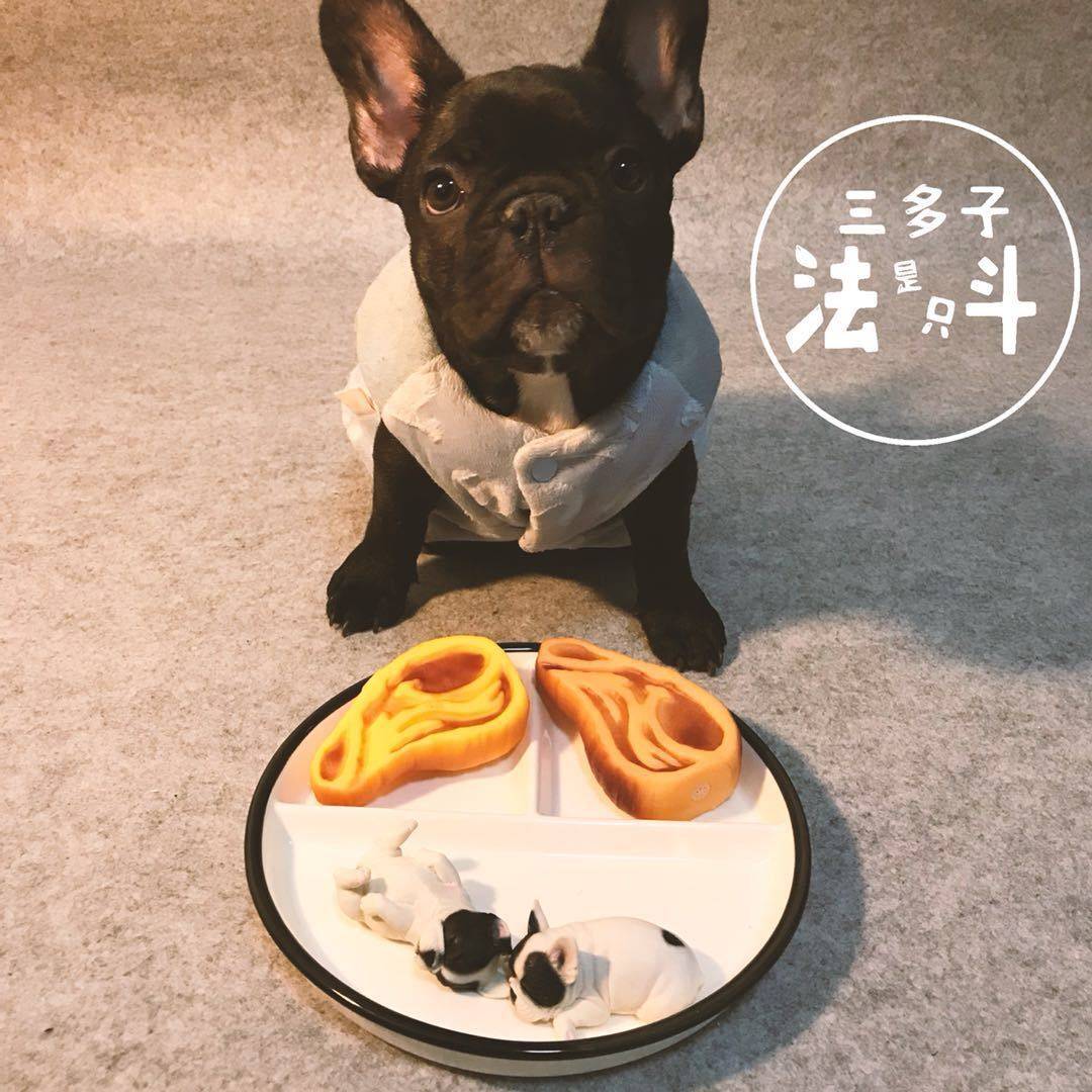 Pet Steak Sound Toy Pork Belly Bite Rubber Latex Toy French Fight Teddy Teeth Grinding Training