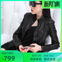 Haining new leather leather women Haining New sheep leather short slim slim slim motorcycle leather jacket stand collar jacket