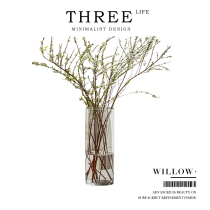 Tlife·Willow·玻璃花瓶摆件客厅插花透明马醉木花器器皿 | 雪柳