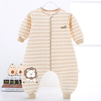 Хлопковое теплый полосы коричневый лев