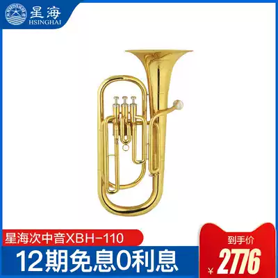 Xinghai Western Wind instrument XBH-110 Vertical key, second alto, flat key, upper bass, 4 flat key, hold number