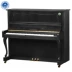 Xinghai hoàn toàn mới dành cho người lớn đàn piano gia đình dọc Đức thủ công Chuyên nghiệp 88 phím đàn piano gỗ rắn chiến thắng K-125 - dương cầm đàn piano cơ dương cầm