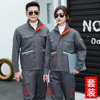 Серой оранжевый воротник