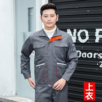 Серый оранжевый воротник