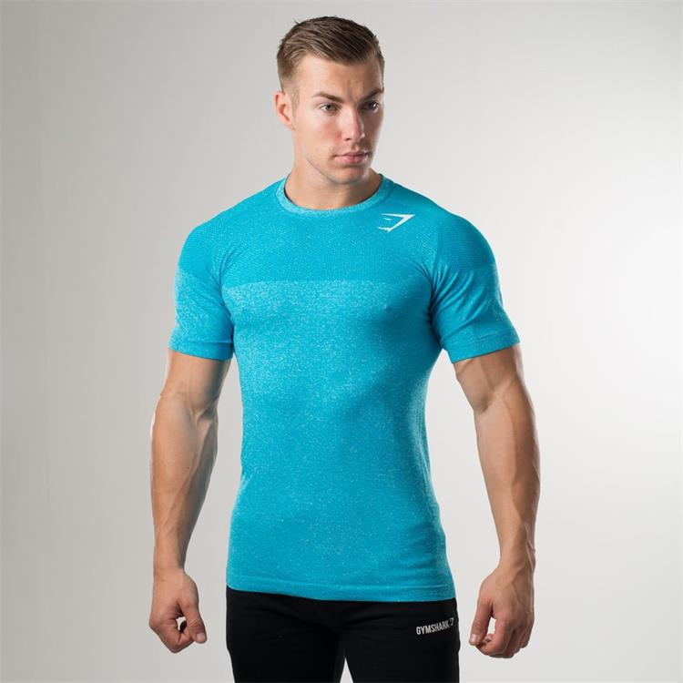 Gymshark Living SST aegeanblue футболка