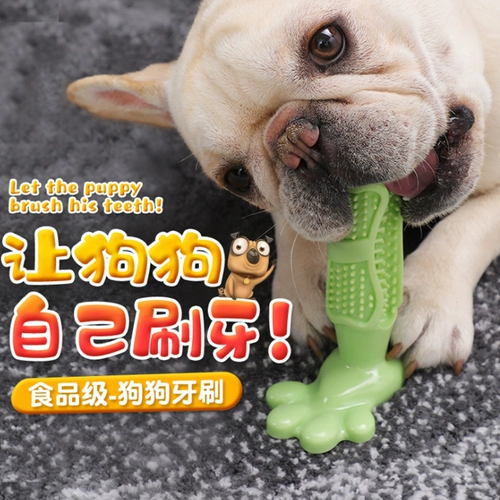 Собака -игрушка Golden Reton Dog Switing Mask Mask Model Pickup и очистку