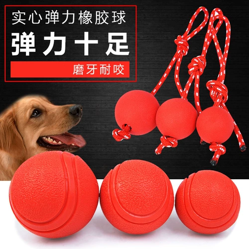 Dog Toy Pet Dog Rubber Ball Molaring Yeew