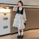 Girls dress spring and autumn 2023 new big boy super foreign style girl long-sleeved polka dot cake skirt princess skirt