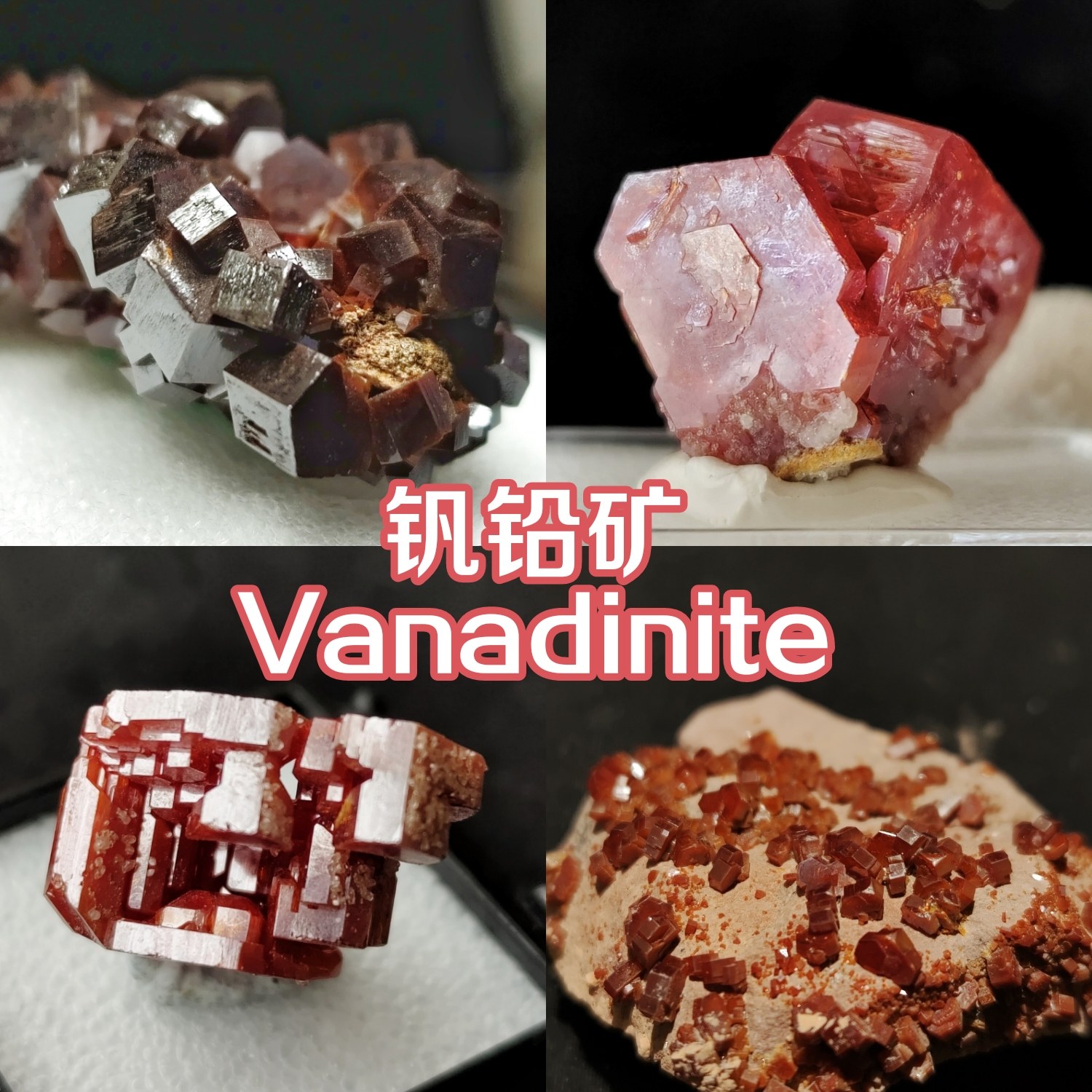 钒铅矿精品收藏级单晶天然矿物晶体矿标博物科普博物礼物独特摆件,这个“游戏”我真香了!_潮玩盲盒_淘宝游戏网