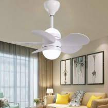 Frequency conversion ceiling fan lamp restaurant bedroom ceiling fan lamp modern simple chandelier Integrated Household White small mini