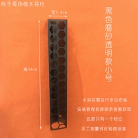 Черная матовая прозрачная модель