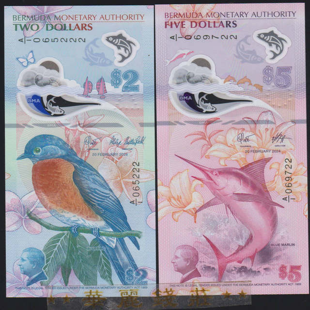 Choose your 2024 IBNS winning 5 yuan banknote number