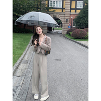 cchen Chen Chen_ mopping suit pants women 2022 new spring and autumn high waist thin wide leg pants loose casual trousers