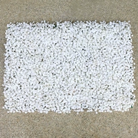 Белый мимилан