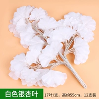 12 белых листьев гинкго