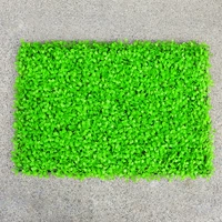 Изумрудный Зеленый Ультра -Слушающий Милан